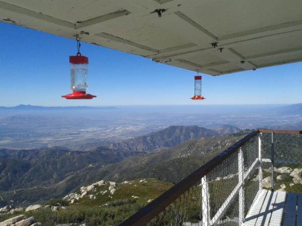 Keller Peak lookout up road from camp